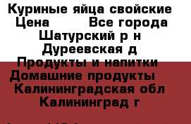 Куриные яйца свойские › Цена ­ 80 - Все города, Шатурский р-н, Дуреевская д. Продукты и напитки » Домашние продукты   . Калининградская обл.,Калининград г.